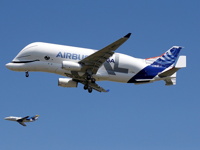 Avión con forma de beluga realiza su primer vuelo el chiltepin