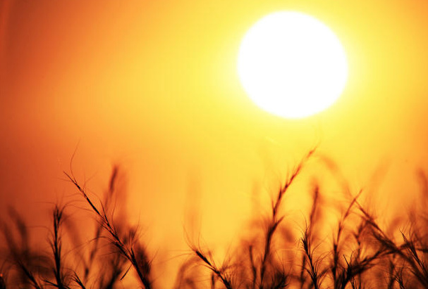 Octubre, segundo mes más cálido en 137 años el chiltepin