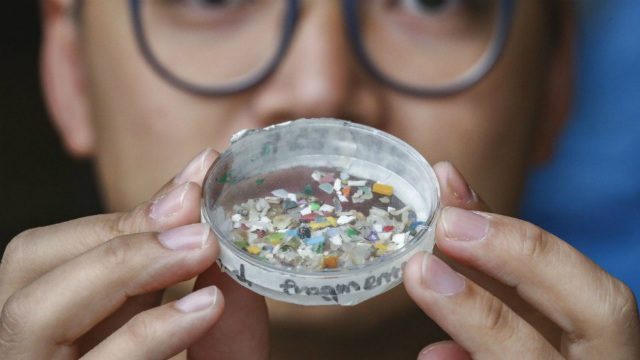 Alerta la FAO por microplásticos en alimentos el chiltepin