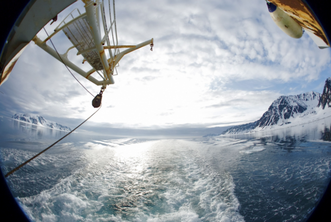 Calentamiento disminuye la población de peces el chiltepin