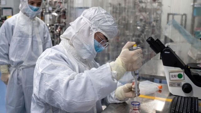 Inmunidad por covid-19 dura al menos 4 meses el chiltepin