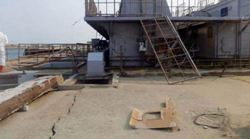 Buscan origen de fuga radioactiva en Fukushima el chiltepin