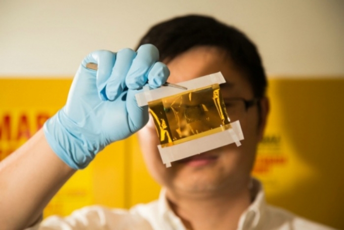 Crean piel artificial capaz de percibir calor el chiltepin