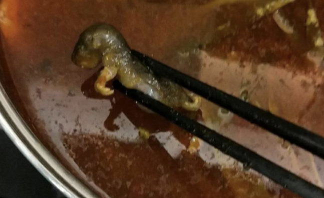 Rata le cuesta a restaurante chino casi 190 mdd el chiltepin